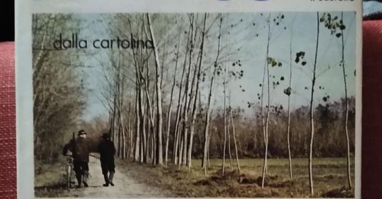 libro libro