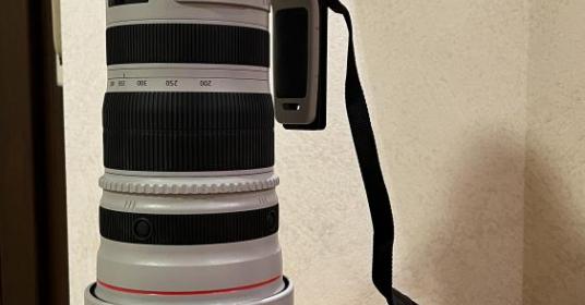 Canon EF 200-400 f/4L IS 1.4x Canon EF 200-400 f/4L IS 1.4x